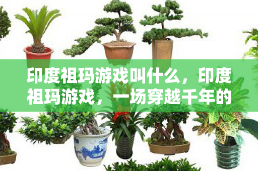 印度祖玛游戏叫什么,印度祖玛游戏,一场穿越千年的智慧挑战 印度祖玛游戏叫什么,印度祖玛游戏,一场穿越千年的智慧挑战