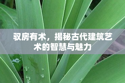 驭房有术，揭秘古代建筑艺术的智慧与魅力