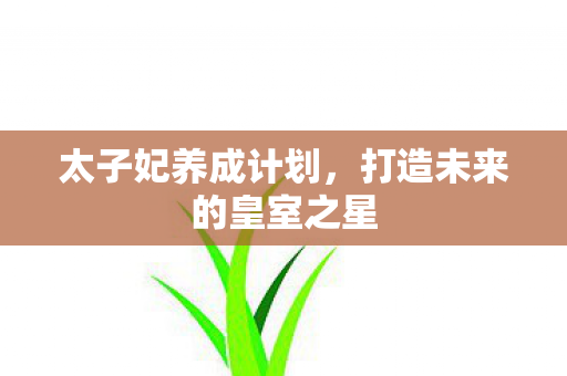 太子妃养成计划，打造未来的皇室之星