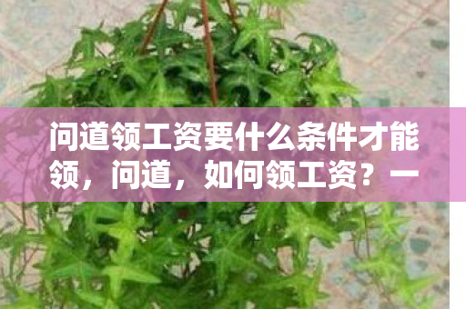 问道领工资要什么条件才能领，问道，如何领工资？一篇文章带你深入了解工资体系