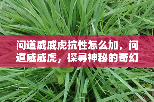 问道威威虎抗性怎么加，问道威威虎，探寻神秘的奇幻世界