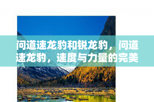 问道速龙豹和锐龙豹，问道速龙豹，速度与力量的完美结合