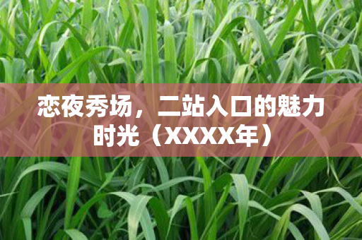 恋夜秀场，二站入口的魅力时光（XXXX年）