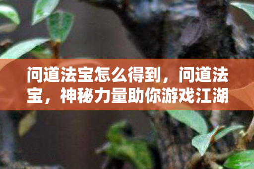 问道法宝怎么得到，问道法宝，神秘力量助你游戏江湖