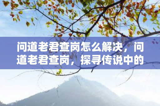 问道老君查岗怎么解决,问道老君查岗,探寻传说中的神秘之旅 问道老君查岗怎么解决,问道老君查岗,探寻传说中的神秘之旅