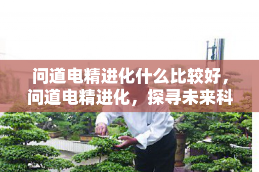 问道电精进化什么比较好，问道电精进化，探寻未来科技与文明的融合之路