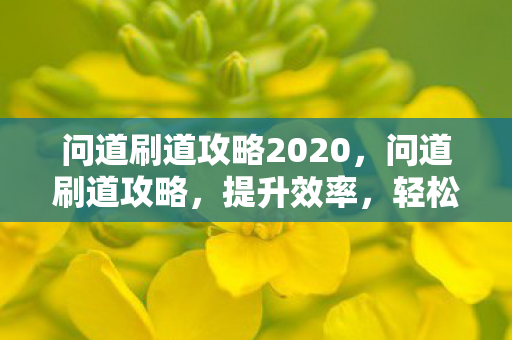 问道刷道攻略2020,问道刷道攻略,提升效率,轻松登顶 问道刷道攻略2020,问道刷道攻略,提升效率,轻松登顶
