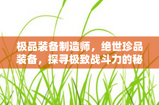 极品装备制造师,绝世珍品装备,探寻极致战斗力的秘密武器 极品装备制造师,绝世珍品装备,探寻极致战斗力的秘密武器