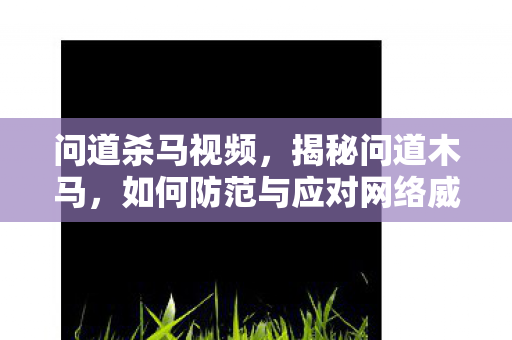 问道杀马视频,揭秘问道木马,如何防范与应对网络威胁? 问道杀马视频,揭秘问道木马,如何防范与应对网络威胁?