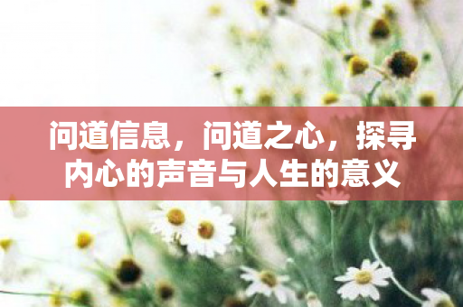 问道信息,问道之心,探寻内心的声音与人生的意义 问道信息,问道之心,探寻内心的声音与人生的意义