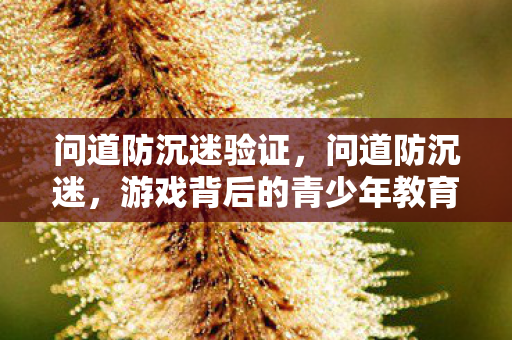 问道防沉迷验证,问道防沉迷,游戏背后的青少年教育挑战与应对策略 问道防沉迷验证,问道防沉迷,游戏背后的青少年教育挑战与应对策略