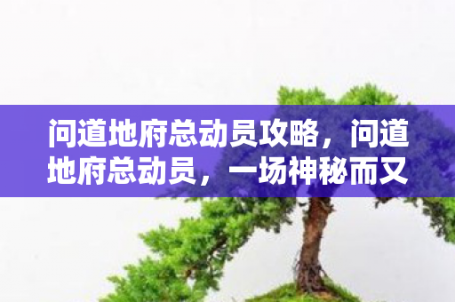 问道地府总动员攻略，问道地府总动员，一场神秘而又刺激的冒险之旅