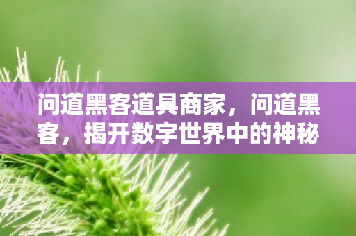 问道黑客道具商家,问道黑客,揭开数字世界中的神秘面纱 问道黑客道具商家,问道黑客,揭开数字世界中的神秘面纱