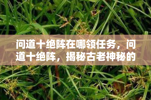问道十绝阵在哪领任务，问道十绝阵，揭秘古老神秘的阵法传说