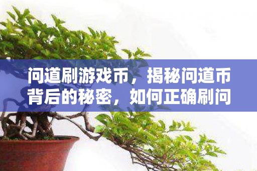 问道刷游戏币,揭秘问道币背后的秘密,如何正确刷问道币? 问道刷游戏币,揭秘问道币背后的秘密,如何正确刷问道币?
