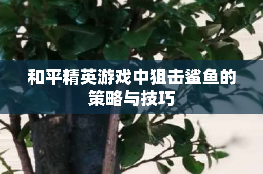 和平精英游戏中狙击鲨鱼的策略与技巧