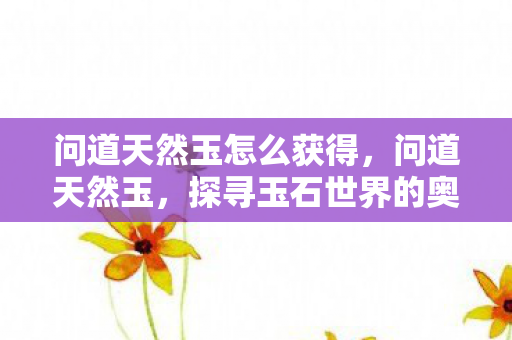 问道天然玉怎么获得，问道天然玉，探寻玉石世界的奥秘与魅力