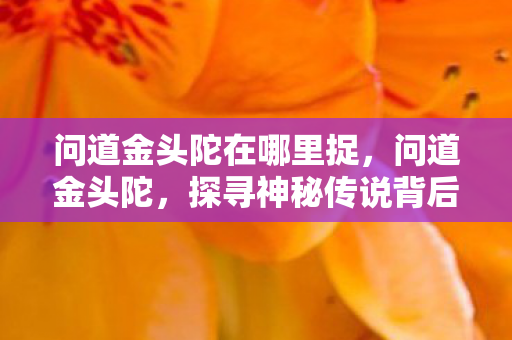 问道金头陀在哪里捉，问道金头陀，探寻神秘传说背后的真相