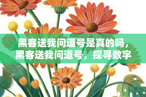 黑客送我问道号是真的吗,黑客送我问道号,探寻数字世界的神秘面纱 黑客送我问道号是真的吗,黑客送我问道号,探寻数字世界的神秘面纱