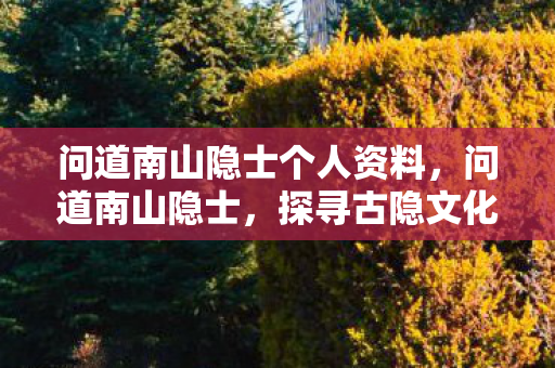 问道南山隐士个人资料,问道南山隐士,探寻古隐文化与现代生活的交融之美 问道南山隐士个人资料,问道南山隐士,探寻古隐文化与现代生活的交融之美
