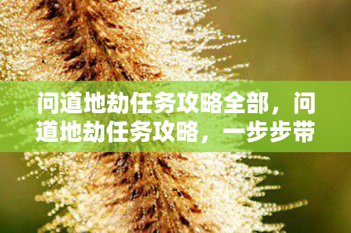 问道地劫任务攻略全部,问道地劫任务攻略,一步步带你成为顶尖玩家 问道地劫任务攻略全部,问道地劫任务攻略,一步步带你成为顶尖玩家