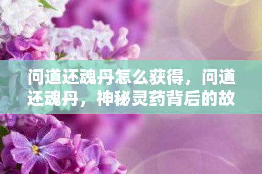问道还魂丹怎么获得，问道还魂丹，神秘灵药背后的故事