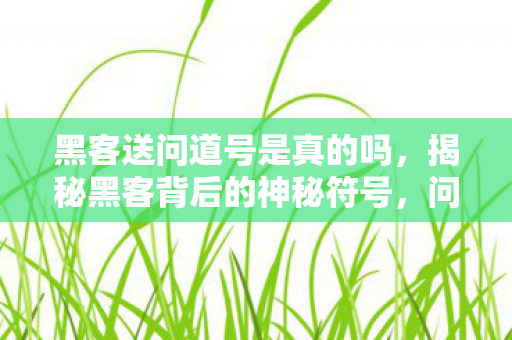 黑客送问道号是真的吗,揭秘黑客背后的神秘符号,问道号背后的故事与真相 黑客送问道号是真的吗,揭秘黑客背后的神秘符号,问道号背后的故事与真相