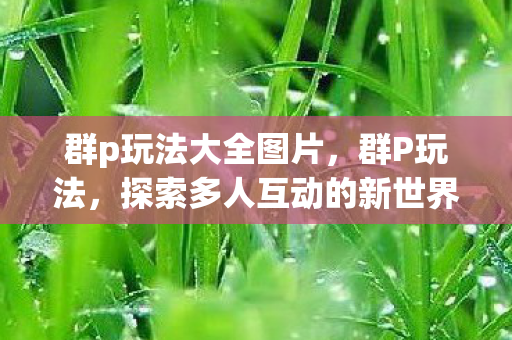 群p玩法大全图片,群P玩法,探索多人互动的新世界 群p玩法大全图片,群P玩法,探索多人互动的新世界