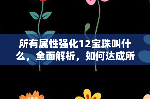 所有属性强化12宝珠叫什么，全面解析，如何达成所有属性强化10