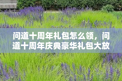 问道十周年礼包怎么领，问道十周年庆典豪华礼包大放送