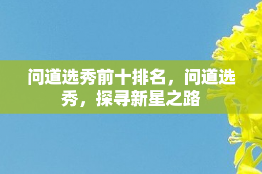 问道选秀前十排名，问道选秀，探寻新星之路