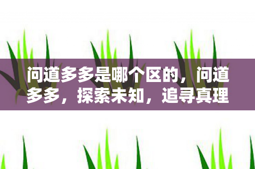 问道多多是哪个区的，问道多多，探索未知，追寻真理的旅程