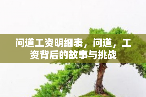 问道工资明细表，问道，工资背后的故事与挑战