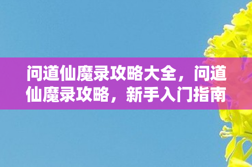 问道仙魔录攻略大全,问道仙魔录攻略,新手入门指南 问道仙魔录攻略大全,问道仙魔录攻略,新手入门指南