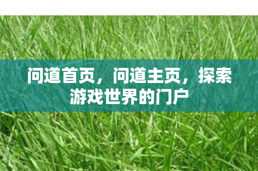 问道首页，问道主页，探索游戏世界的门户