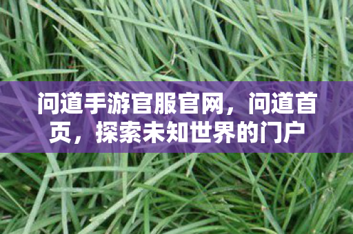 问道手游官服官网，问道首页，探索未知世界的门户