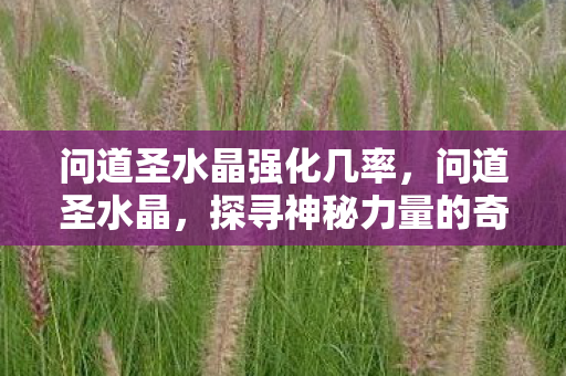 问道圣水晶强化几率,问道圣水晶,探寻神秘力量的奇幻之旅 问道圣水晶强化几率,问道圣水晶,探寻神秘力量的奇幻之旅