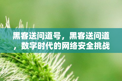 黑客送问道号,黑客送问道,数字时代的网络安全挑战与应对之道 黑客送问道号,黑客送问道,数字时代的网络安全挑战与应对之道