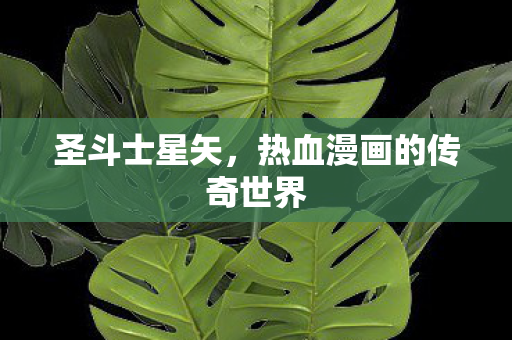 圣斗士星矢，热血漫画的传奇世界