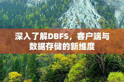 深入了解DBFS,客户端与数据存储的新维度 深入了解DBFS,客户端与数据存储的新维度