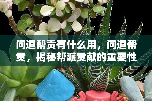 问道帮贡有什么用,问道帮贡,揭秘帮派贡献的重要性与获取方式 问道帮贡有什么用,问道帮贡,揭秘帮派贡献的重要性与获取方式