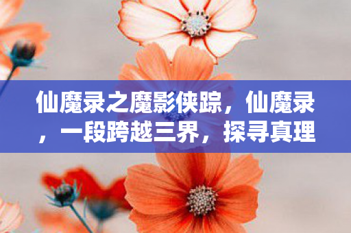 仙魔录之魔影侠踪，仙魔录，一段跨越三界，探寻真理的传奇之旅