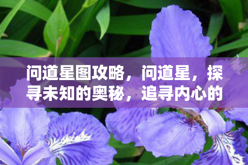 问道星图攻略,问道星,探寻未知的奥秘,追寻内心的指引 问道星图攻略,问道星,探寻未知的奥秘,追寻内心的指引