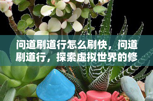 问道刷道行怎么刷快，问道刷道行，探索虚拟世界的修行之旅