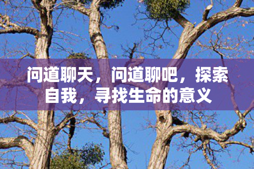 问道聊天,问道聊吧,探索自我,寻找生命的意义 问道聊天,问道聊吧,探索自我,寻找生命的意义
