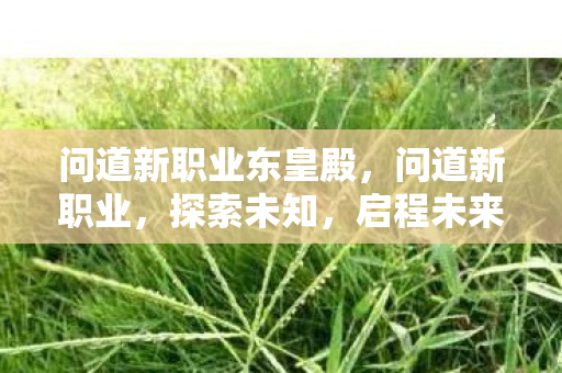 问道新职业东皇殿,问道新职业,探索未知,启程未来 问道新职业东皇殿,问道新职业,探索未知,启程未来