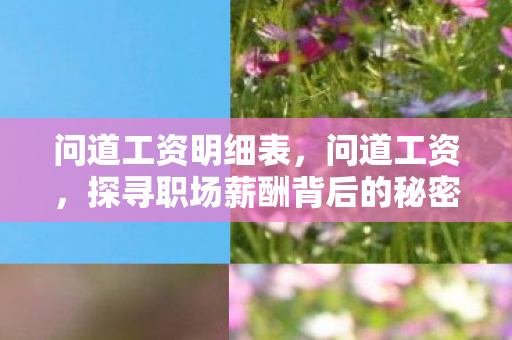 问道工资明细表,问道工资,探寻职场薪酬背后的秘密 问道工资明细表,问道工资,探寻职场薪酬背后的秘密