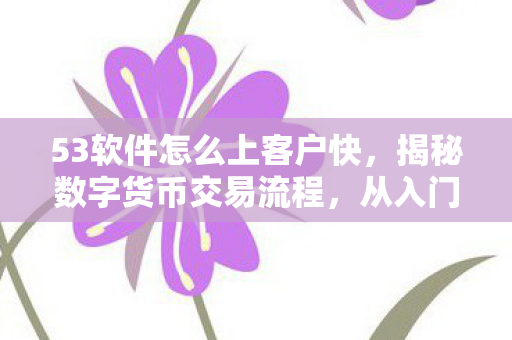53软件怎么上客户快，揭秘数字货币交易流程，从入门到精通—以53交易为例