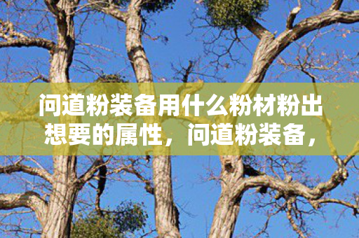 问道粉装备用什么粉材粉出想要的属性，问道粉装备，游戏玩家的必备利器