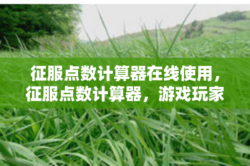 征服点数计算器在线使用，征服点数计算器，游戏玩家的得力助手